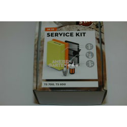 Stihl Service Kit Luftfilter Zündkerze Benzinfilter MS210 MS230 MS250 (Nr. 2)