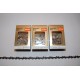 Stihl PD Saw Chain 35 cm 1,3 3/8"P Picco Duro Carbide-Tipped 50 Drive Links